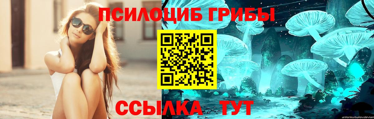 Псилоцибиновые грибы Magic Shrooms  Вход с VPN  Качканар 