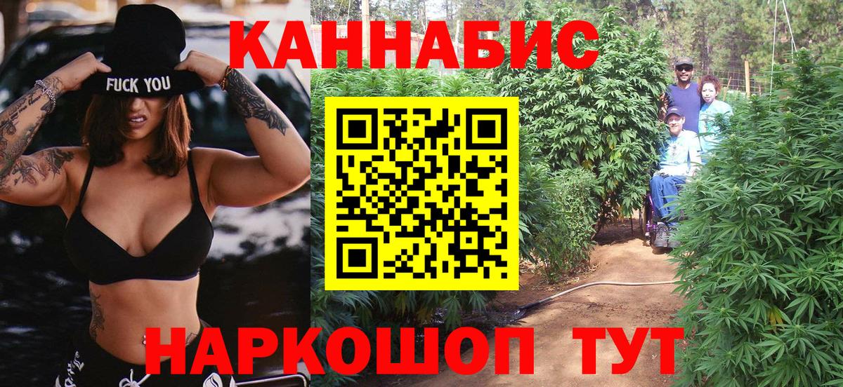 Каннабис Amnesia Качканар